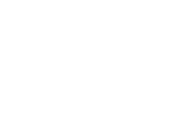 Logo Dior