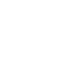 Logo Salvatore Ferragamo